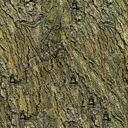 Seamless Tree Bark